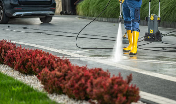 Best Driveway Pressure Washing  in Happy Valley, CA